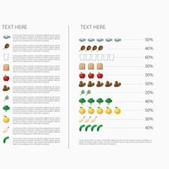 关于食物的介绍图表