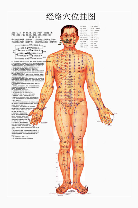 经络图图片下载