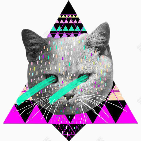 三角形与猫