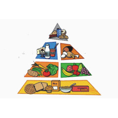 膳食金字塔