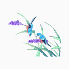 绿叶蓝鸟紫花