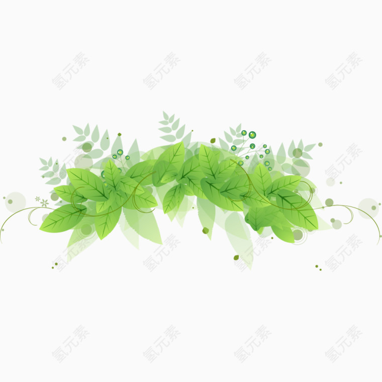 绿色蔓藤植物