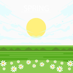 矢量春天风景与雏菊