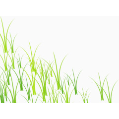 草地，草，小草，绿色