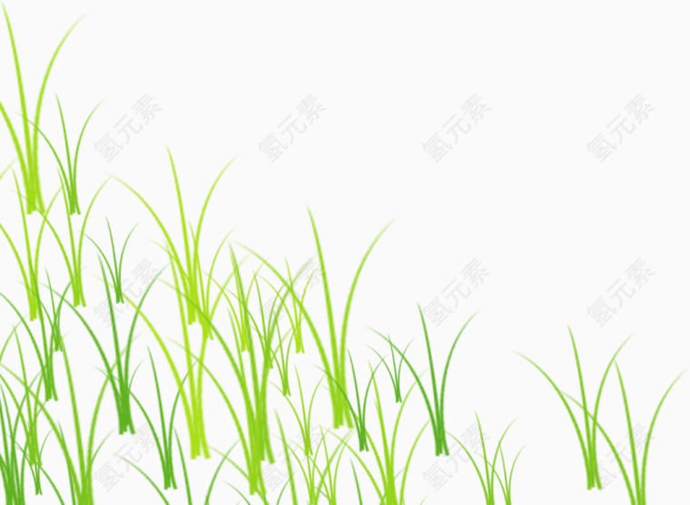 草地，草，小草，绿色
