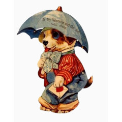打伞的小狗