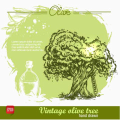 橄榄树和橄榄油海报设计