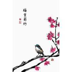 梅花上的小鸟