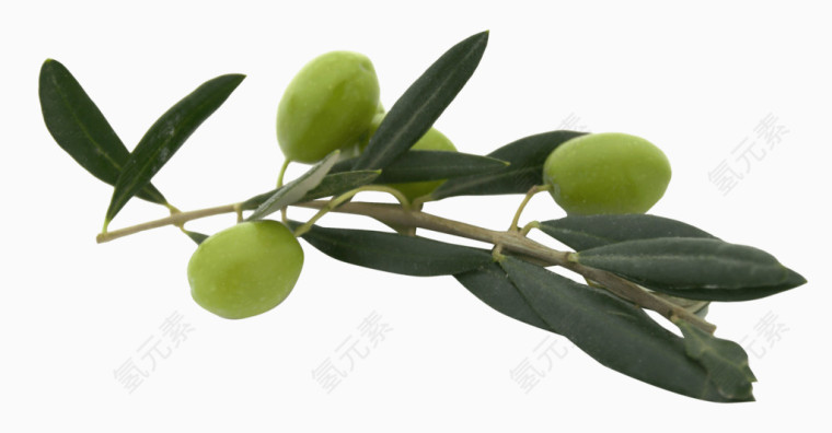 绿色新鲜橄榄