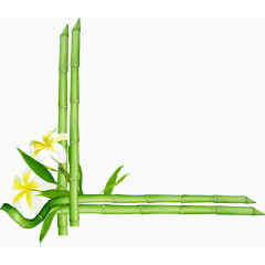 清晰绿竹花朵边框