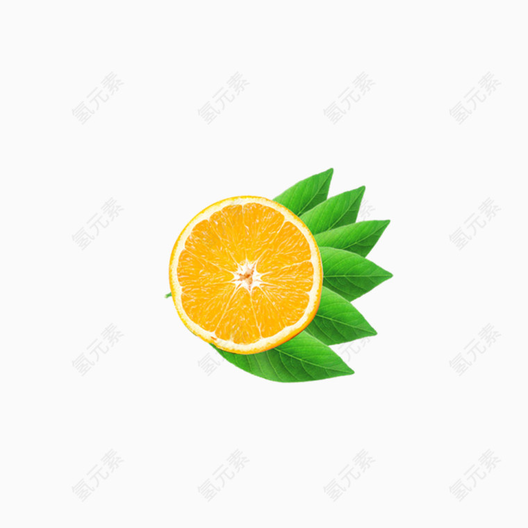 橙子绿叶