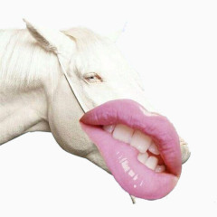 搞笑的咬唇马