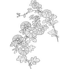 日本风格花草矢量素材