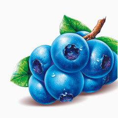 蓝莓造型图片