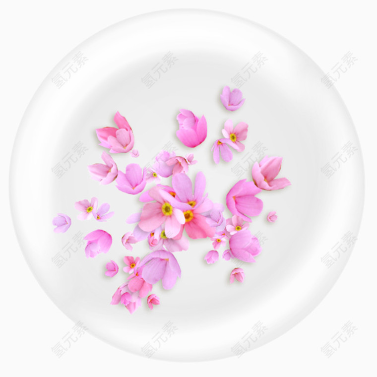 粉色报春花装饰素材