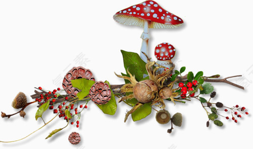 童话般的蘑菇