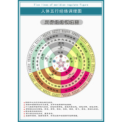 中医医学人体五行经络调理图