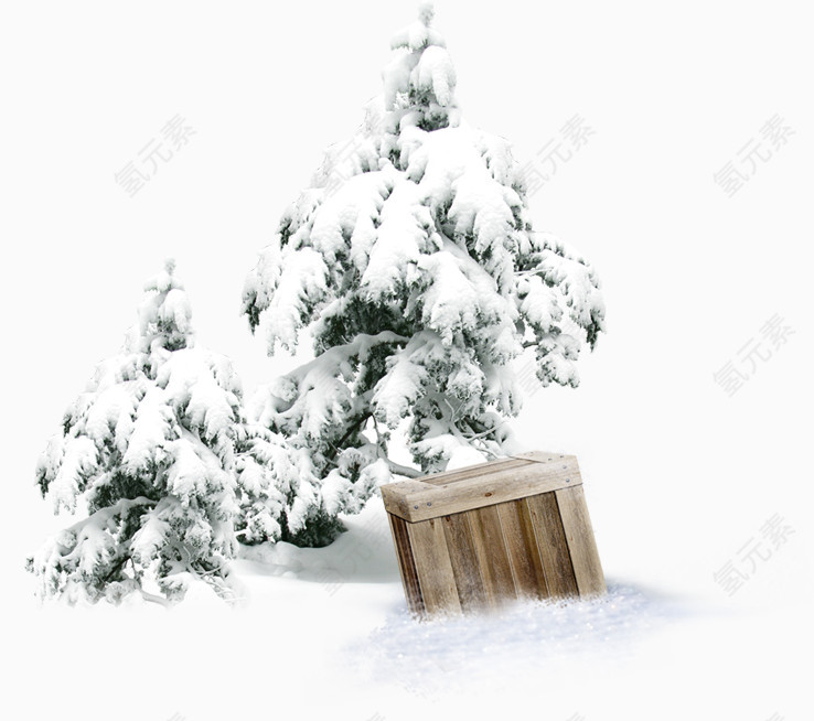 冬季松树木箱