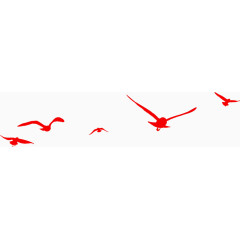 红色飞行海鸥