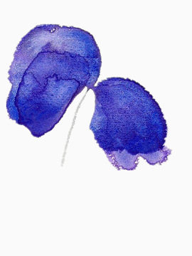 蓝色水彩画花瓣