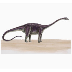 长尾巴的恐龙
