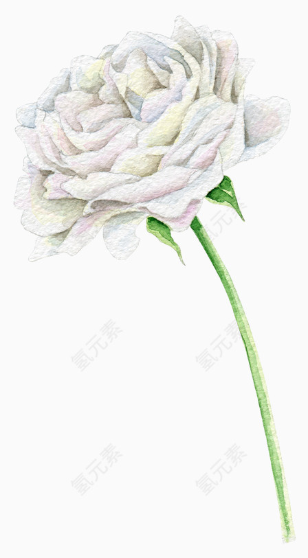 水墨油画水彩花朵玫瑰