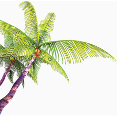 椰子树，淘宝素材
