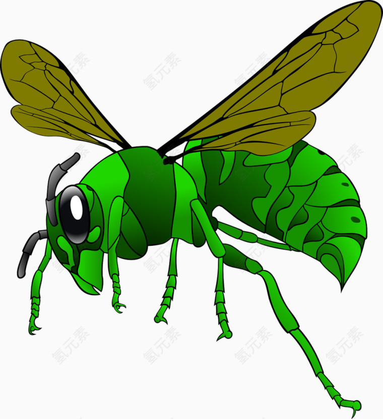 绿色的飞行蜜蜂