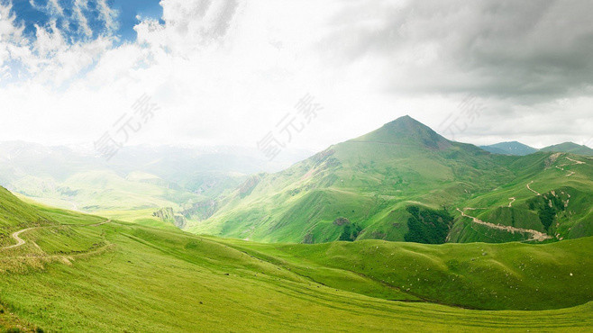 茶田背景