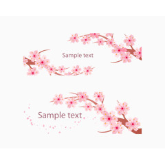矢量粉色日本元素樱花树枝