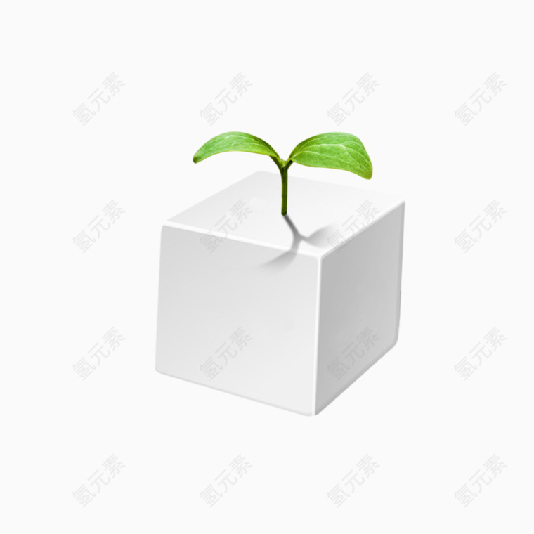 方块盒子长着植物