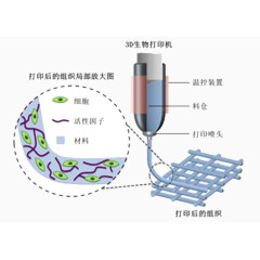 3D生物打印机