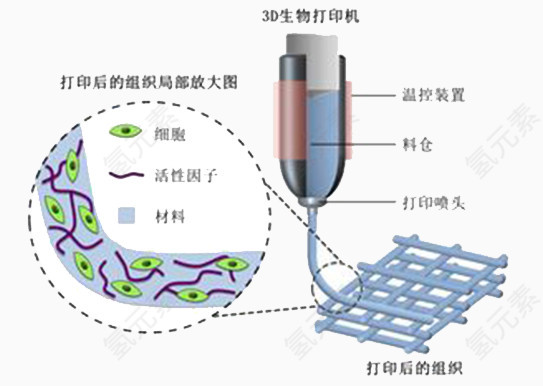 3D生物打印机