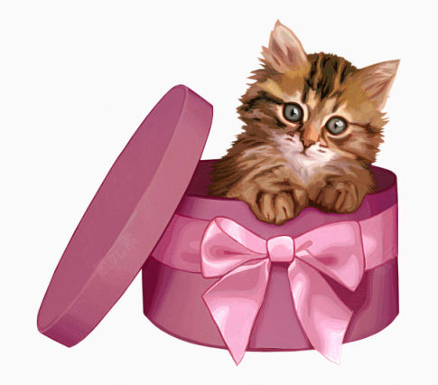 情人节送给爱人的可爱猫咪礼物下载