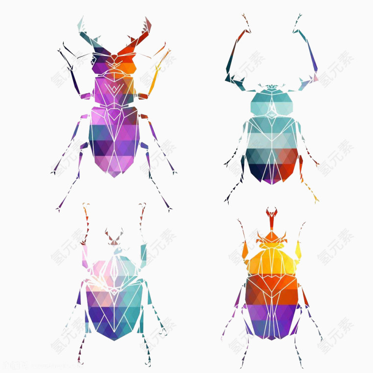 彩色昆虫高清免扣素材