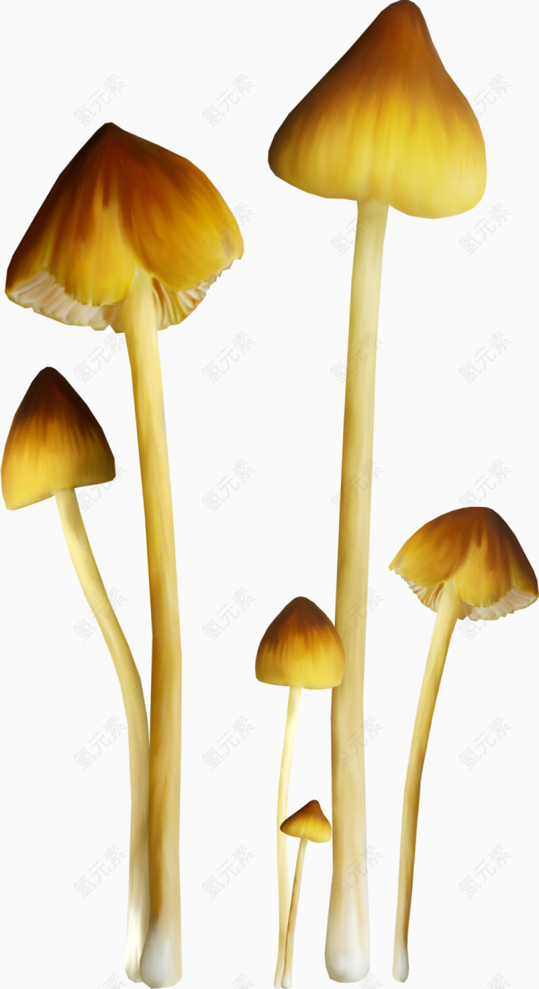 diy蘑菇