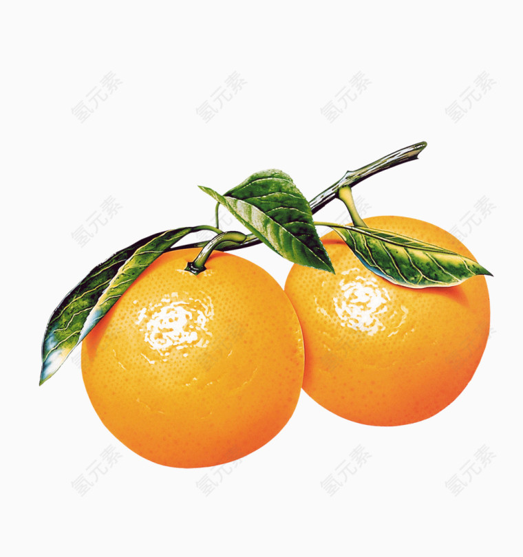 一对橙子