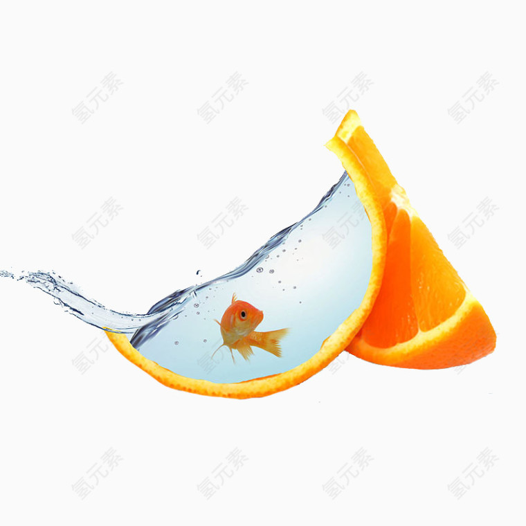 橙子和金鱼