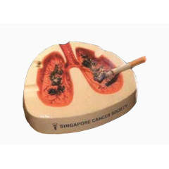 肺形烟灰缸