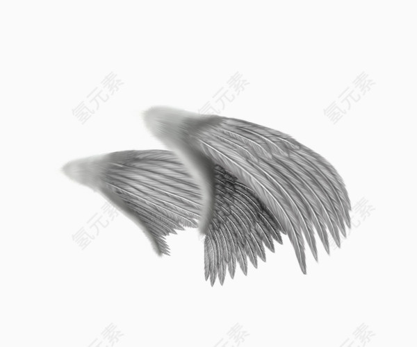 灰色翅膀素材