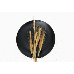 黑色盘子小麦