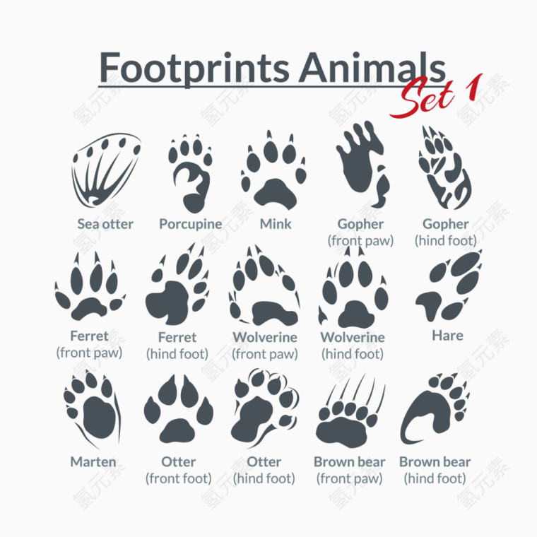 15款动物脚印设计矢量图