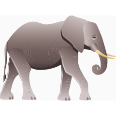 大象动物园手绘元素