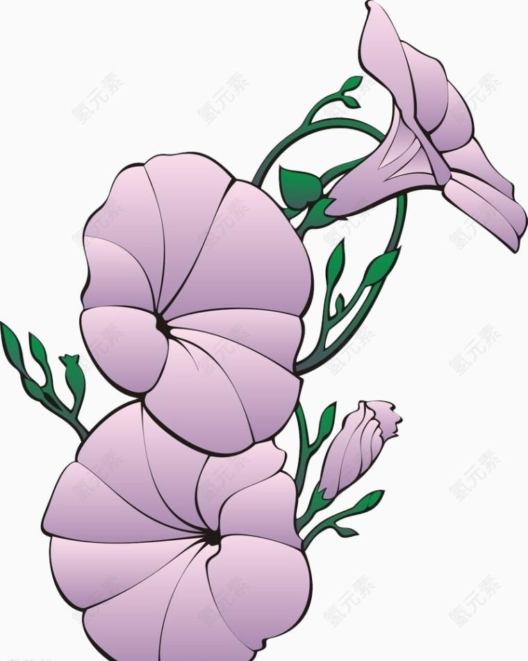 紫色装饰花