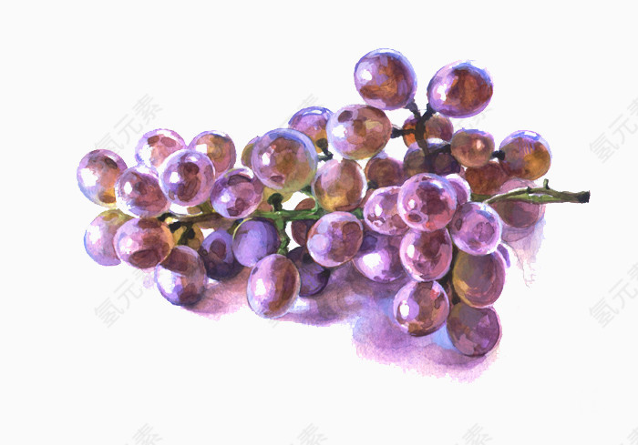 紫葡萄的美味