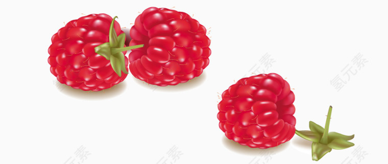 新鲜红色野莓