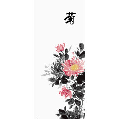 菊花