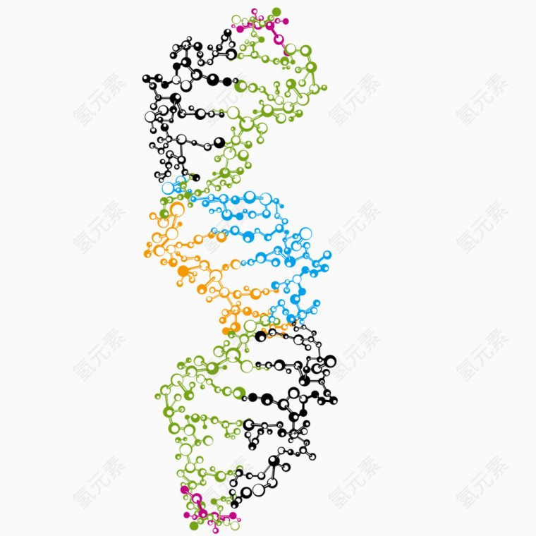 彩色人体DNA结构