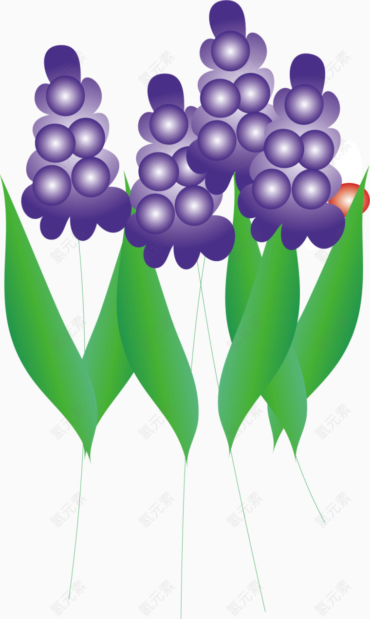 紫色串串花矢量图