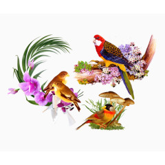 百变鹦鹉花卉装饰静物背景图案